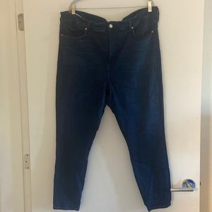 Citizens of Humanity Plus Rocket Skinny -